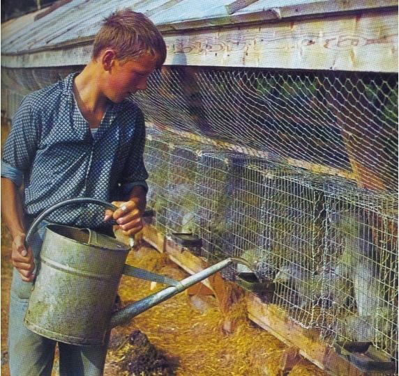 1960- luvulla perustettiinkin eri puolille Kainuuta