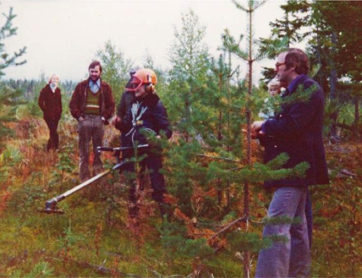 Metsäpuolella on viimeinen vuosikymmen ollut keskittymistä nuorten metsien hoitoon ja energiapuun hankintakysymyksiin. 4H-yhdistyksillä oli käytössään mm.