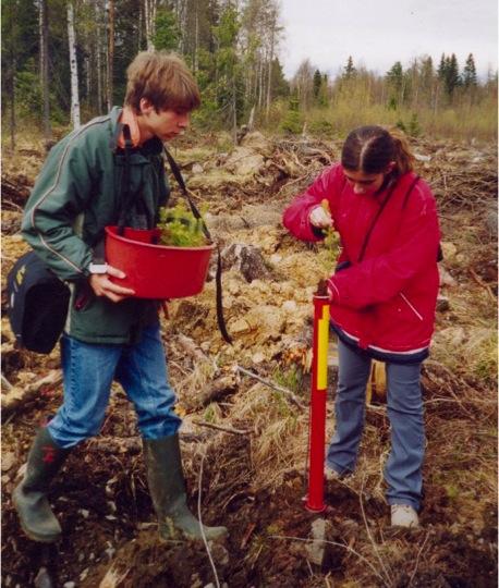 1980-luku ei ollut uusien taloudellisten yritysmuotojen esille tuloa niin voimakkaasti kuin 1960 luvun loppupuoli ja 1970 luku. Jo vuonna 1980 päätettiin tutkia mahdollisuuksia mm.