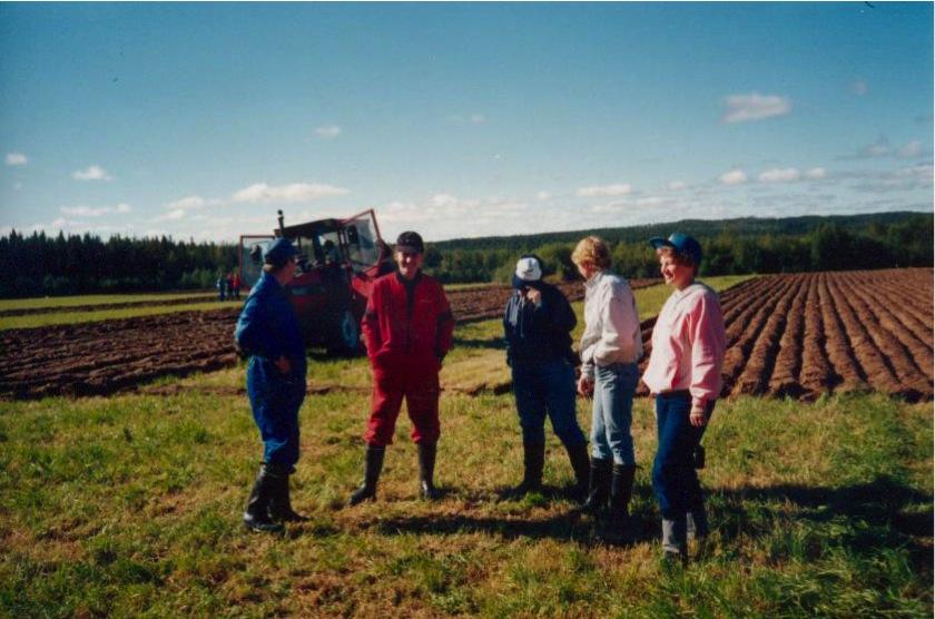 Vuonna 1993 saatiin työllistämisrahaa työministeriöltä nuorten työllistämiseen pääasiassa kotitalous-,