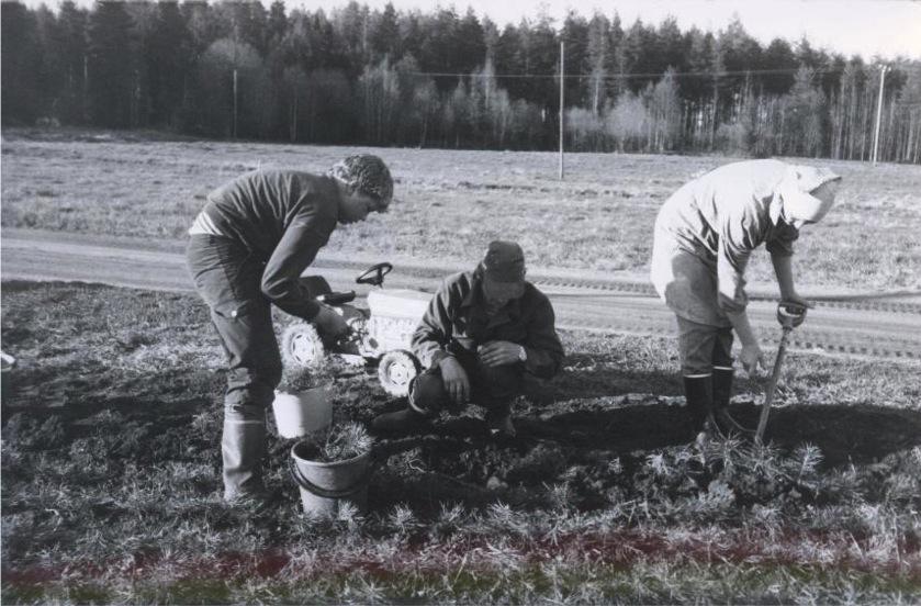 Ennen kuin Kainuussa oli oma 4H-piiri, tehtiin 4H-työtä maakunnassamme