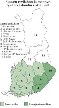 Juurikäävän torjunta Riskialueet Kaakkois-Suomi Kantokäsittely touko-lokakuun loppu erityisesti riskialueen terveissä kuusikoissa turvemailla ei