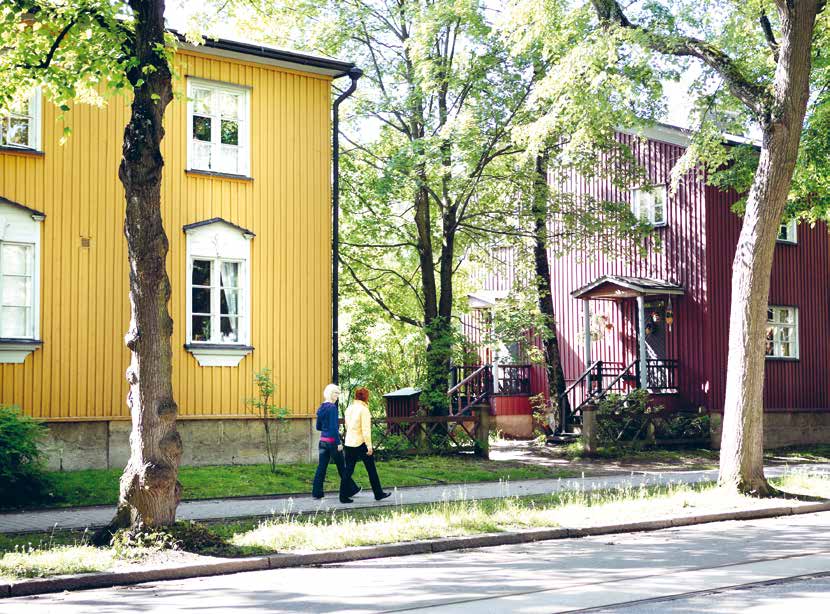 Puu-Käpylän nykypäivää Pohjolankadulta: puut ovat vankkoja,