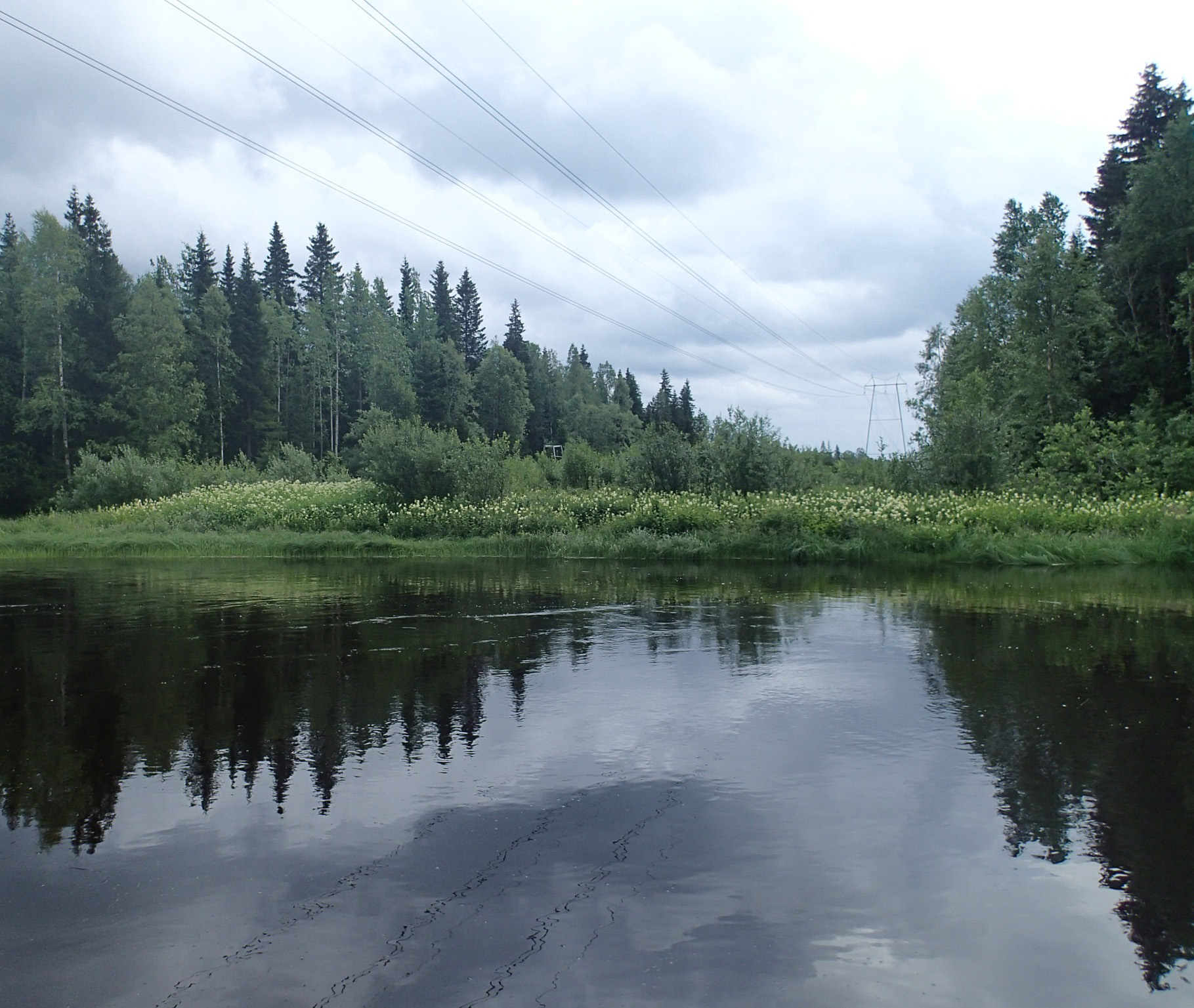 SUUNNITTELU JA TEKNIIKKA FINGRID OYJ Ympäristöselvitys 2x110 kilovoltin voimajohdolle