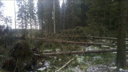 Markku Kähkönen ja Matti Väisänen entisten Jussi Halttusen ja Ahti Weijon tilalle. Kokouksen esitelmän piti Mervi Juntunen yhdistyksen syyskuussa tekemän Saksan matkan tiimoilta.