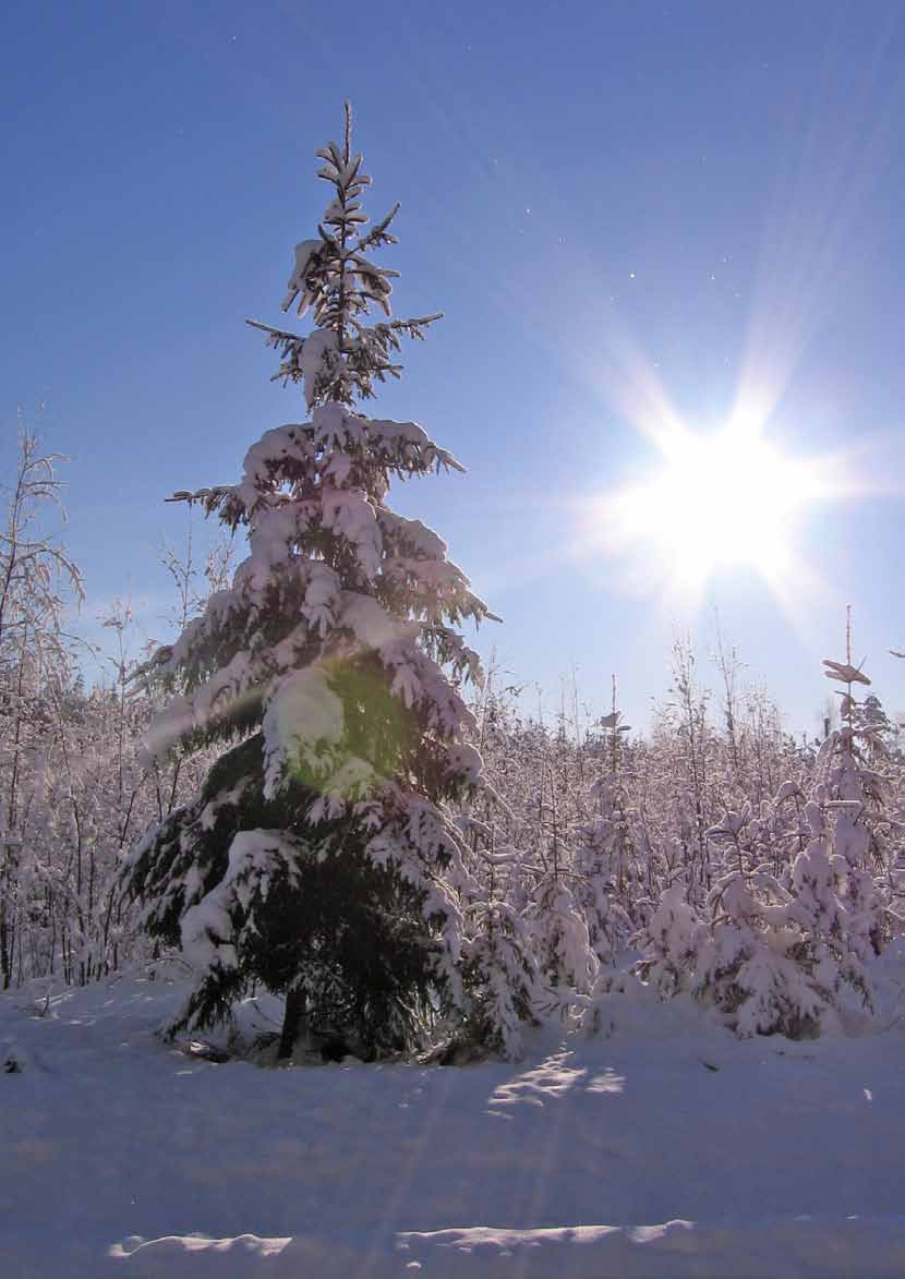 SF-CARAVAN KOUVOLAN SEUTU RY Jäsenjulkaisu 1 / 2015 s. 22 OMA ALUE, SFC PALVAANJÄRVI s.