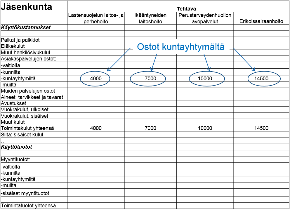 9(10) Muut taloustiedot: Seuraavat tiedot tulee ilmoittaa tilastoon kunnittain, vaikka palvelujen hoitaminen olisi siirretty isäntäkunnalle tai kuntayhtymälle.