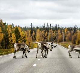 Tieto on muokannut liikennepuolen ajattelua aivan uudella tavalla.