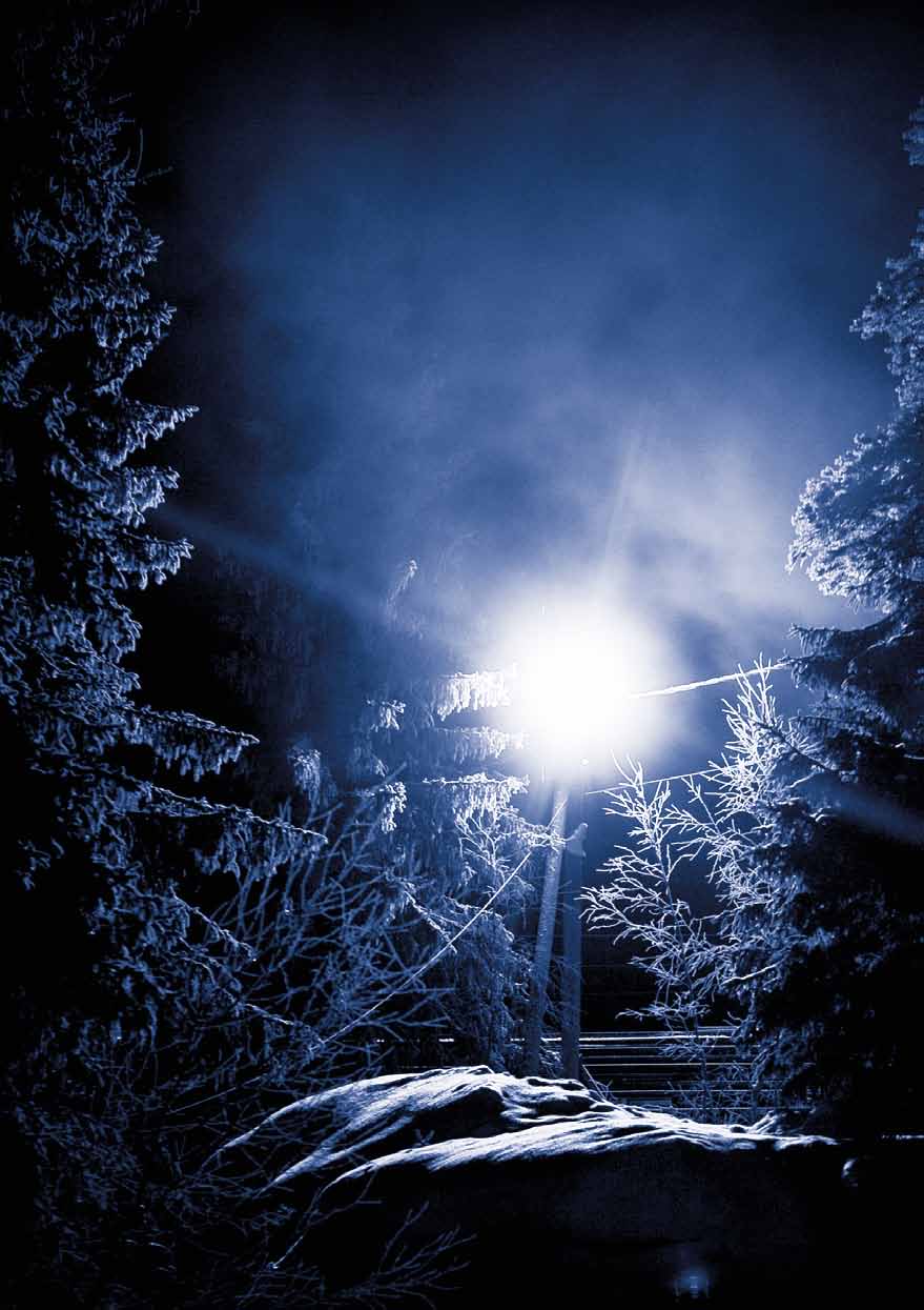 Arktinen alue - uusia mahdollisuuksia