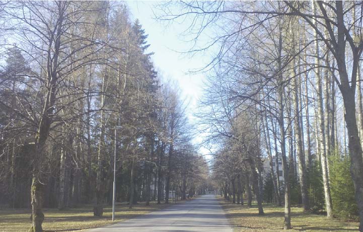 14 2.4 Puistoalueet Törnävän sairaalan alue sijaitsee historiallisesti arvokkaan puisto- ja viheralueen lomassa.