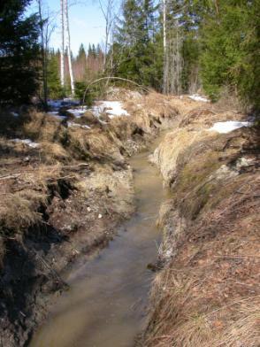 HAVAINTOPISTE 3 Imatran Immalanjärven Suurisuonojan valuma-alue Tila: