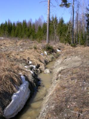 HAVAINTOPISTE 5 Metsäkoneen ajoura menee ojan yli.