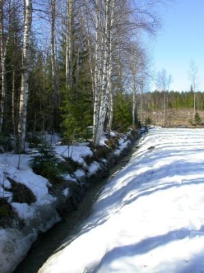 HAVAINTOPISTE 6 Imatran Immalanjärven Suurisuonojan