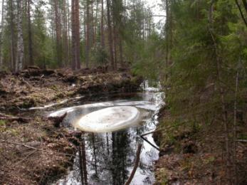 Tila: Vesi seisoo ja levittäytyy melko laajalle alueelle keväällä.