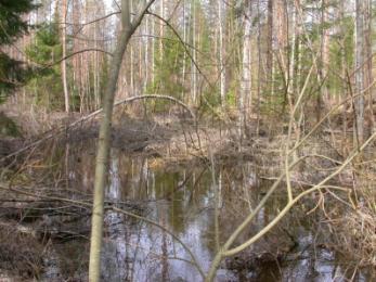 Kosteikon voisi saada tehtyä paikalle laajentamalla risteykseen