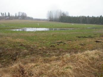 pintavalutuskentän/kosteikon perustaminen. Vesi kerääntyy pellolle keväisin.