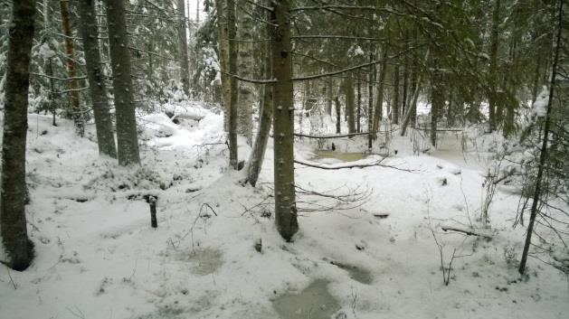 Taustalla Makkarakukkulan kivikkoista