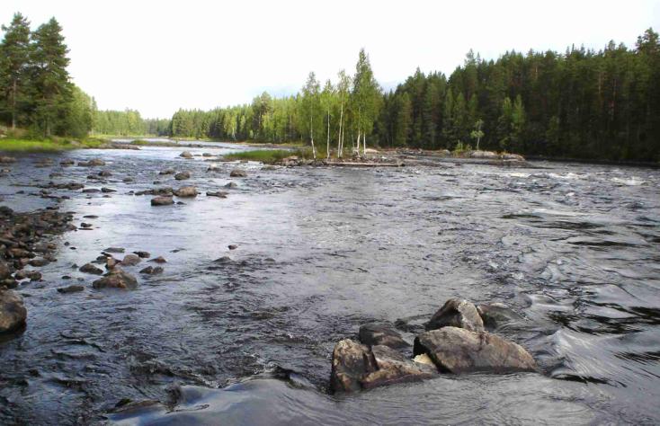 TÄYDENNYSKUNNOSTUS-