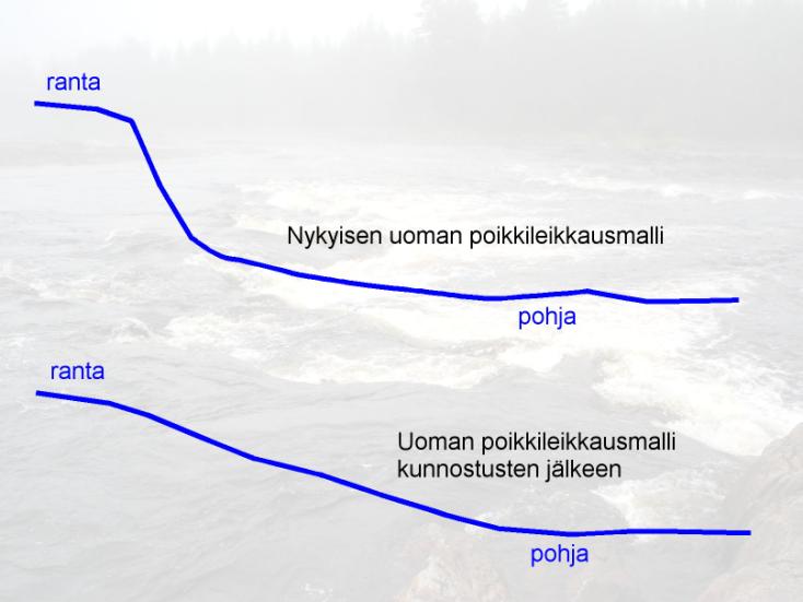 Kuva 10. Kunnostusten oletettu vaikutus uoman profiiliin Naarakosken etelärannan tuntumassa.