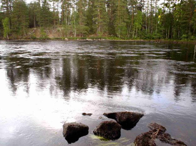 Kuvat Naarakoski 1 ja 2.