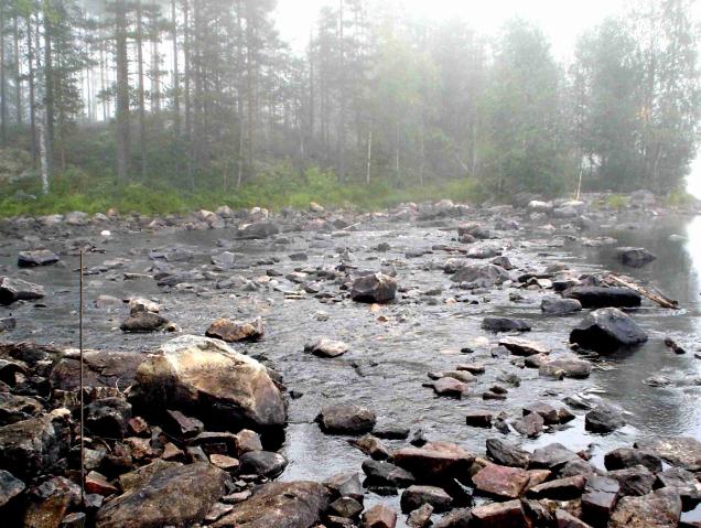 poikaskivikkoa niin pitkälle kuin tämä on kaivinkoneella mahdollista: koneelle jouduttaneen kiveämään tätä varten koskeen oma kulkureitti.