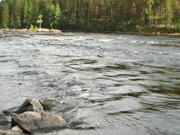 Täällä keskimääräinen vesisyvyys on aluksi noin metri, mutta se kasvaa alavirtaan päin mentäessä jopa kolmeen metriin. Kosken niskalta on otettu kuva Käpykoski 5.