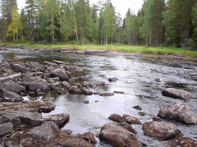 Aluksi vesi virtaa ohuena mattona kallion päällä, mutta syvemmälle mentäessä vesisyvyyttä kertyy ensin noin 30 cm ja lopulta keskellä uomaa noin 0,5 m (kuvat Saarikoski 6 ja 7).