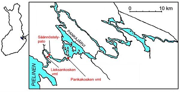 1. JOHDANTO Viimeisen jääkauden jälkeen Vuoksen vesistöalueelle muodostui kaksi erillistä järvilohikantaa, toinen Saimaan alueelle ja toinen Pieliseen.