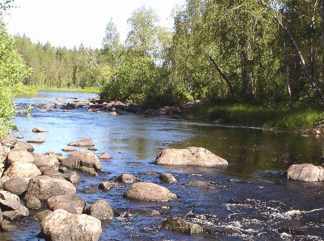 Itärannan pienien saarekkeiden kohdalle tulisi pääuomaan tehdä vinottainen suiste ohjaamaan