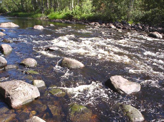 Samalla uomaan jäisi pieni allas, jonka rantaosat lisäkivettäisiin lohelle sopiviksi.