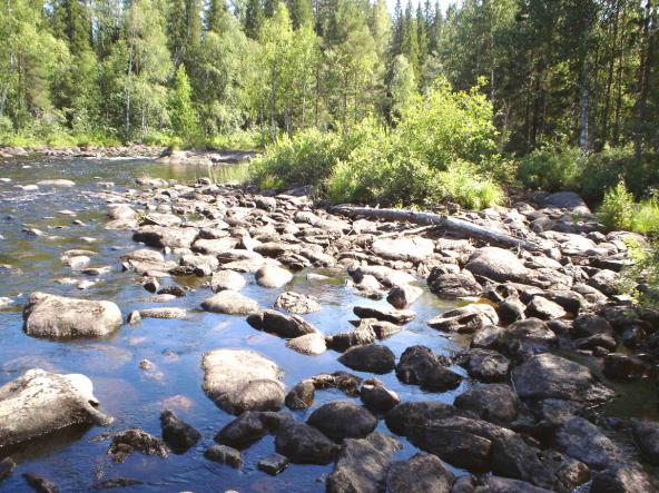 Kuvissa Pudaskoski 1 ja 2 näkyy, että varsinkin länsirannan tuntumasta löytyisi sekä pintavirtaukseltaan että vesisyvyydeltään järvilohelle suhteellisen hyvä alue, elleivät kivet olisi aivan liian