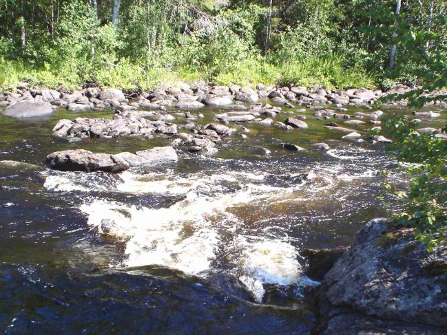 Tätä tosin kannattaa tiivistää, jolloin vettä ohjautuu itärannan kivikkoon nykyistä enemmän (kuvat Pudaskoski 5 ja 6). Kyseistä kivikkoa harvennetaan.