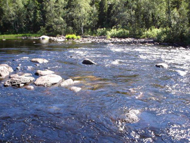 korjattava tuomalla tänne runsaasti oikeankokoisia kiviä. Tällä kohdin kannattaa keskelle pääuomaa jättää allas. Kuvat Pudaskoski 11 ja 12 on otettu kohdasta, jossa koskessa on kynnyksentapainen.