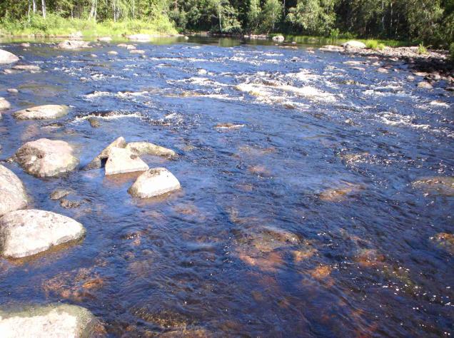 Jottei järvilohta varten muokattavasta osasta tule liian rännimäistä, saa sinne jättää harvakseltaan suuria kiviä. Näillä kohden Pudaskoskea ongelmana on hidas virtaus.