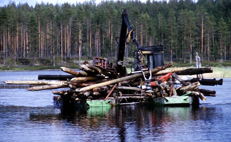 Sen tuottamat tulokset osoittivat, että järvilohelle on tietyin edellytyksin luotavissa luontainen elinkierto Pielisen Lieksanjoen-alueelle.