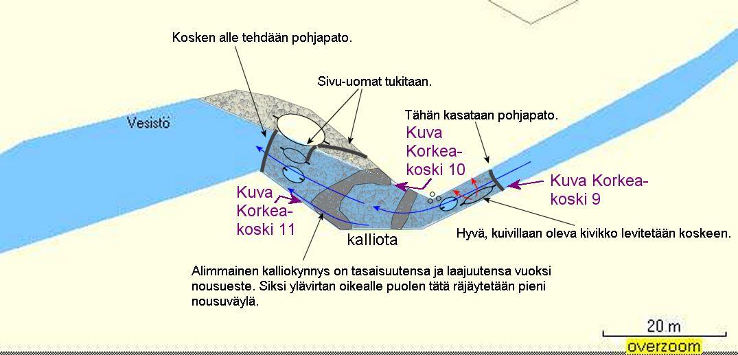 Kunnostuskartta Korkeakoski 2. Korkeakosken tämänhetkinen poikastuotantopinta-ala on noin 250 m 2. Tämä voi kasvaa kunnostusten myötä noin 1 000 m 2 :iin.