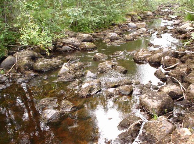 Alempana kohde on tyypillinen taimenkoski, jossa vesi virtaa suurten kivien väleissä ja vallitseva kivikoko on liian suuri järvilohelle (kuva Vääräkoski 9).