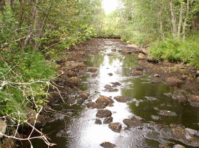 Alavirtaan päin mentäessä seuraavana on hiekkaan syöpynyt noin kaksi metriä syvä allas (petovapaana olisi sopiva talvehtimisalue), jonka jälkeen koskimainen