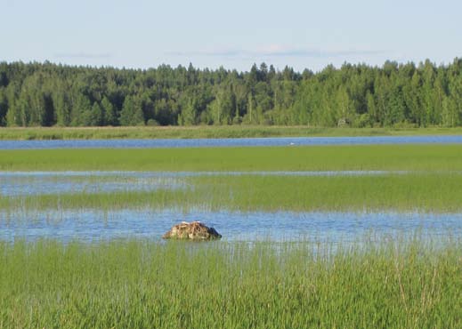 10 ahtialan järven natura-alue Lisäksi alue kuuluu valtioneuvoston vuonna 1982 hyväksymään valtakunnalliseen lintuvesiensuojeluohjelmaan.