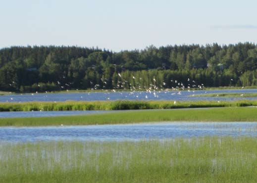 Lintuvesien suojeluohjelman tavoite on alueiden säilyminen mahdollisimman luonnonvaraisina. Pirkanmaan 1. maakuntakaavassa alue on merkinnällä nat eli Natura 2000 alue.