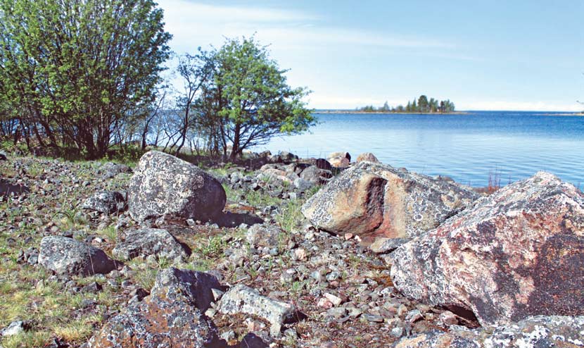 Smitti Ulkopauha Smitin saari on pituudeltaan noin 350 m ja le- Ulkopauhan saari on rannoiltaan kivikkoi- veydeltään 200 m. Smitti on suosittu retkeilykohde, josta löytyy laavu ja nuotiopaikka.