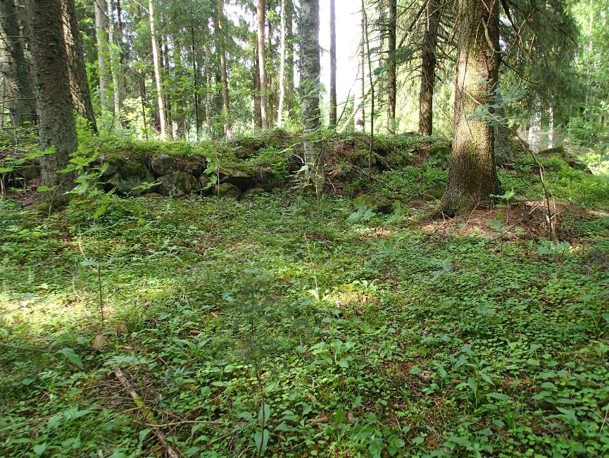 Myllyn paikka kuvattuna Rakkolanjoen itärannalta länteen. Etualalla on koskipaikka, jossa mylly todennäköisesti on sijainnut.