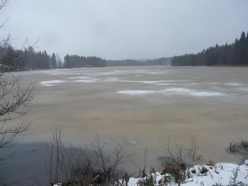 13 Kuva 13. Laitilanlahden pohjukkaa patotieltä kuvattuna13.12.2011. Suurisuonojan suisto kuvan keskellä ylhäällä metsän reunassa. Jää humuksen värjäämää.