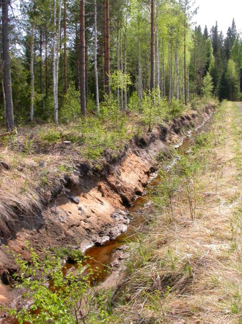 vesiensuojelu Yleissuunnitelma