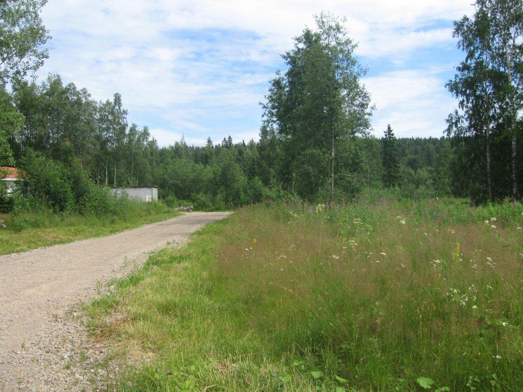 Villelän alue ja entinen sahan alue Mittalinja