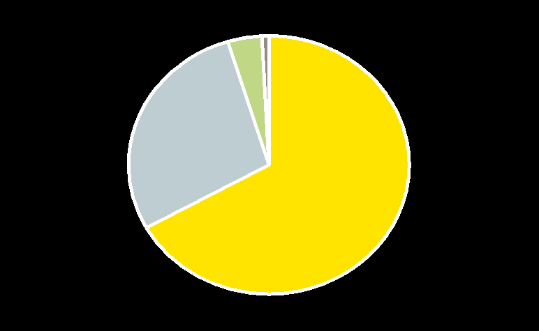 Avainluvut Velkasalkku Velkatyypit Velkojen valuuttajakauma Muut 25% Syndikoidut pankkilainat 47% SEK 28% LTL 1% EEK 4% EUR 67% Pitkäaikaiset luottolimiitit 15% Joukkolainat 13% Yhtiön rahoitus