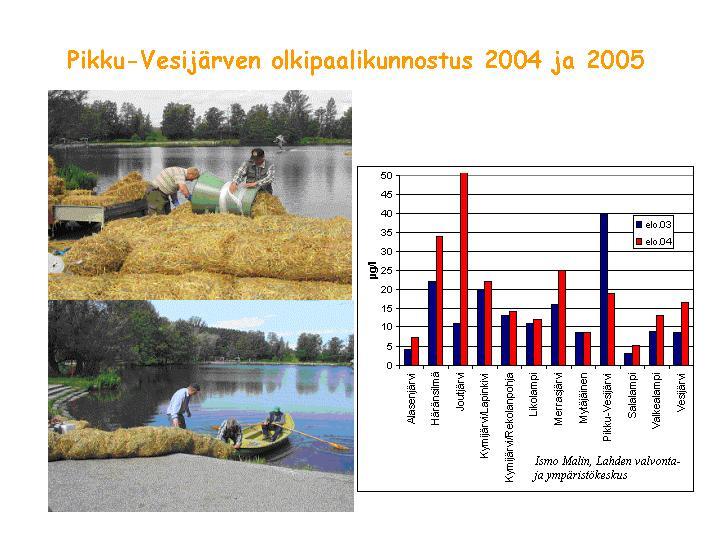 Pikku Vesijärven klorofylliarvo oli vuonna 24 suhteellisesti alhaisempi kuin muissa