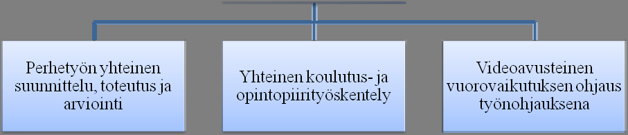 Kehittämistyö toteutui ajallisina ja teemallisina prosesseina, niin myös siihen liittyvät interventiot. Nämä prosessikehittämiseen liittyvät interventiot kuvataan seuraavaksi tarkemmin. 4.4.1.