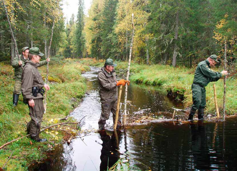 Rajavaltuutettujen apulaiset purkavat majavanpatoa. Kuva: Rajavartiolaitos.