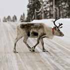 Ohjelma on jatkoa kaudella 2000 2006 toteutetulle Pohjoisen, Itäisen, Eteläisen ja Läntisen vyöhykkeen Interreg III C -ohjelmalle. OHJELMA-ALUE Ohjelma-alue kattaa koko EU:n.